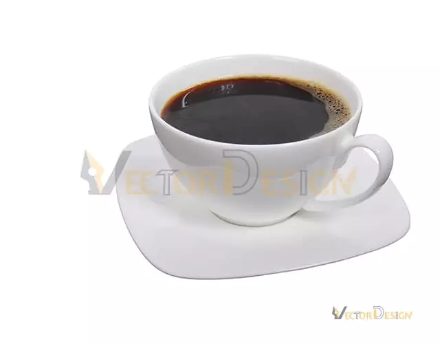 Basic Clipping Path after- Vector Design US, Inc.