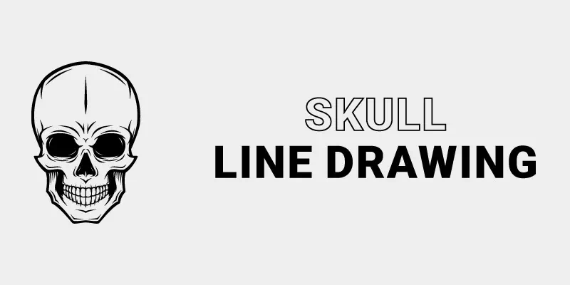skull line drawing- written by vector design us, inc.