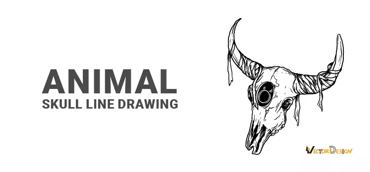 Animal skull drawing- vector design us, inc.