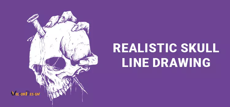Realistic skull line - vector design us, inc.