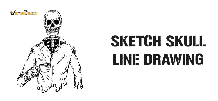 Sketch skull  drawing- vector design us, inc.