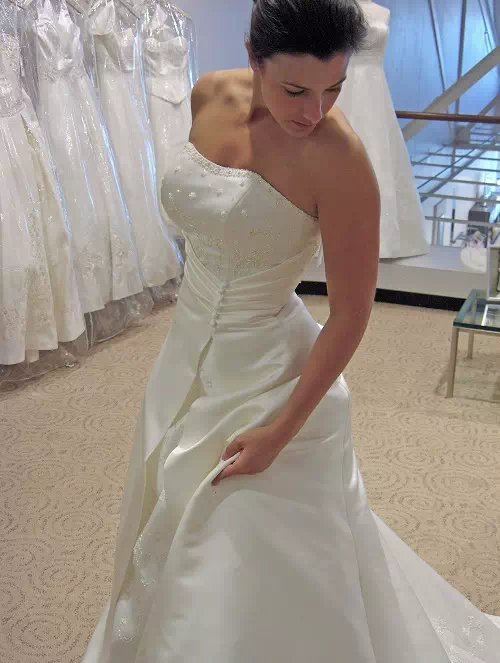 bride's gown trial-vector design us, inc