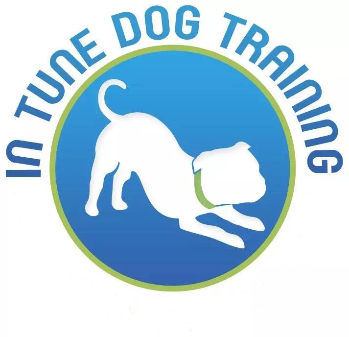 In Tune Dog Training