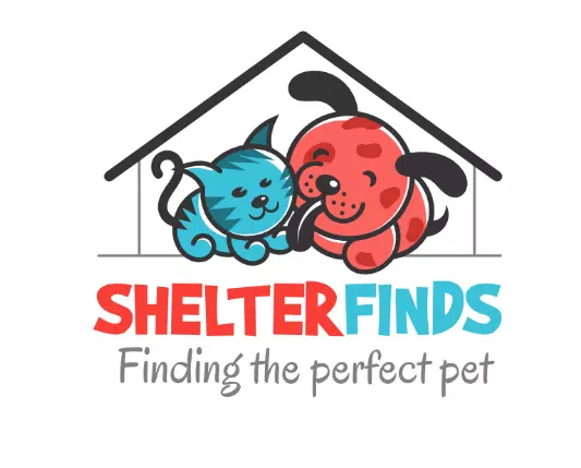 Shelter Finds