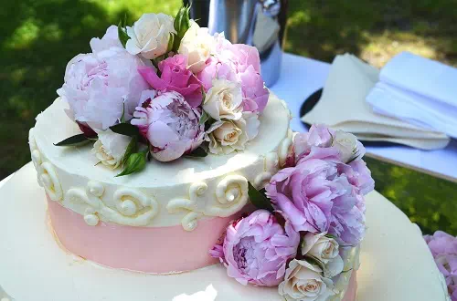 wedding-cake-vector design us, inc