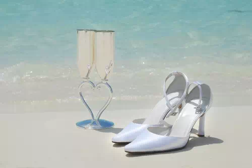 wedding shoes-vector design us, inc