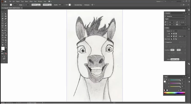 Create a Vector Horse from Sketch