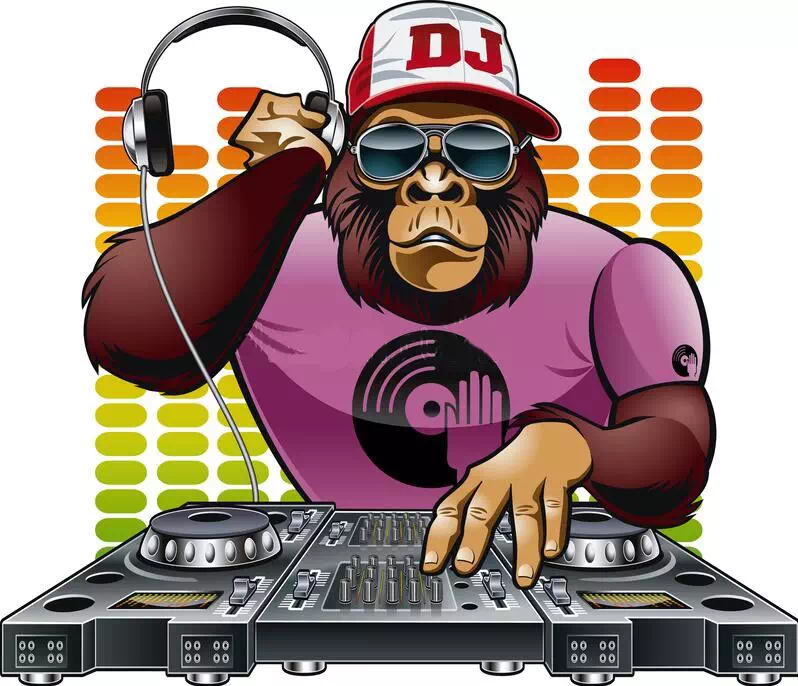 The DJ Monkeys