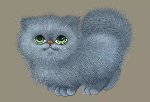 Green-Eyed Chubby Grey Kitten