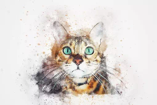 Abstract Watercolor Painting Cat