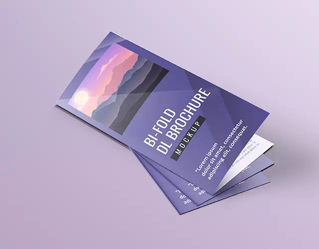 Branding Brochure Design - Vector Design US, Inc.