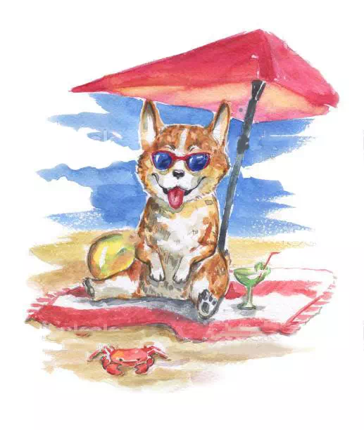 Corgi Dog on the Beach Vacation - Vector Design US, Inc.