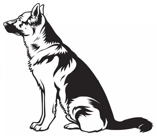 Sitting German Shepherd Dog - Dog artwork