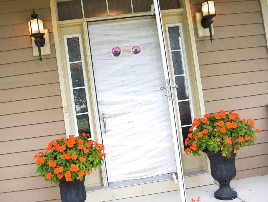 Mummy Door - Vector Design US, Inc.