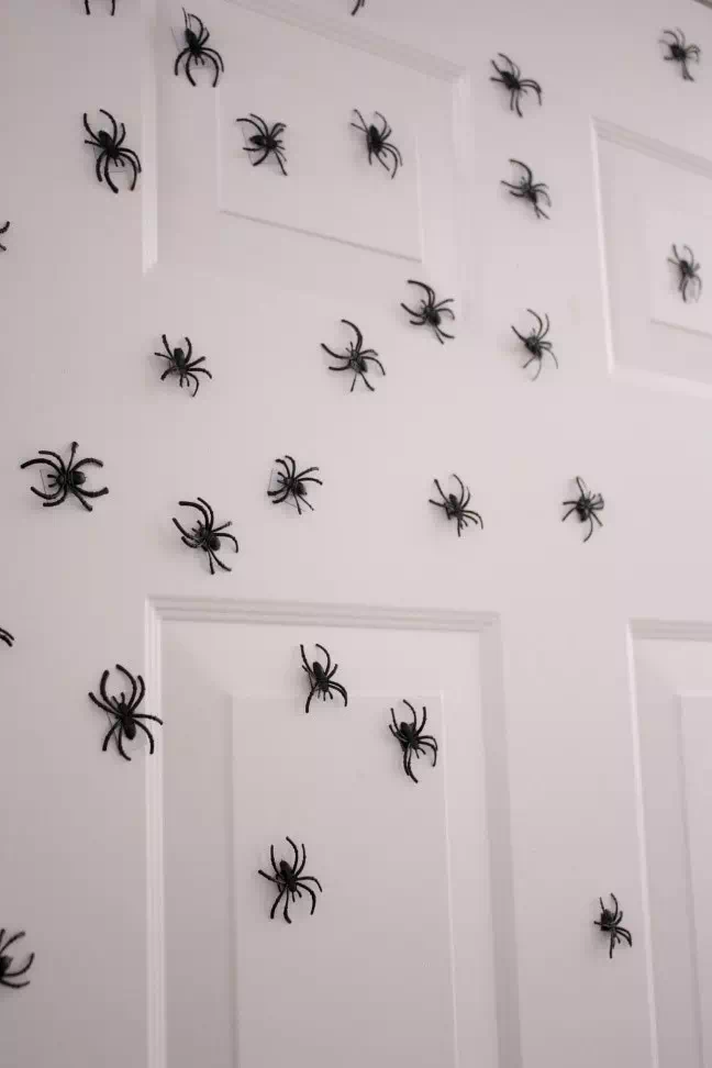 Spiders Invasion - Vector Design US, Inc.