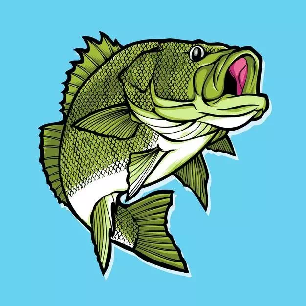 Big Bass Fish - Vector Design US, Inc.