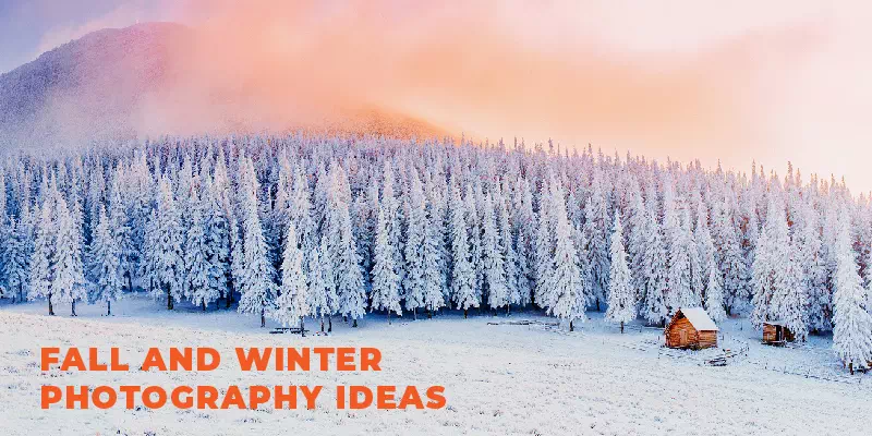 Fall and winter photography ideas - Vector Design US, Inc.