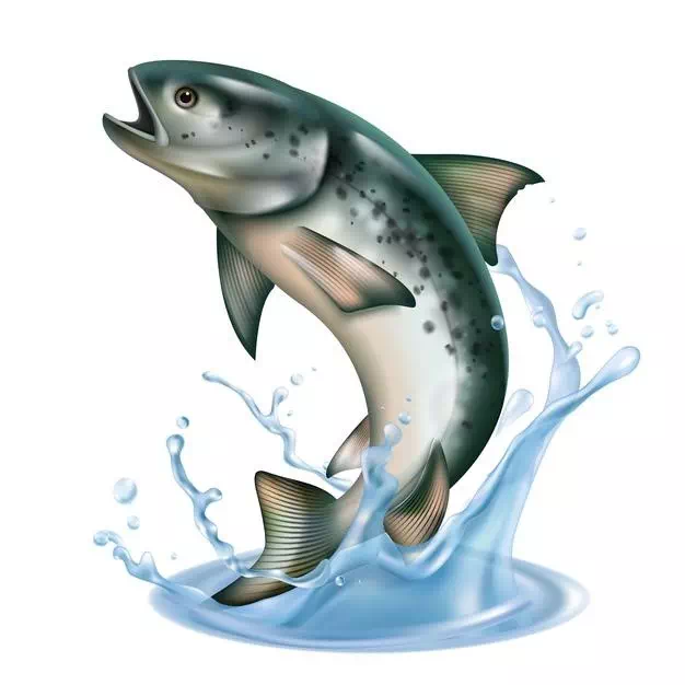 Fish Jumping Out Water With Splashes - Vector Design US, Inc.