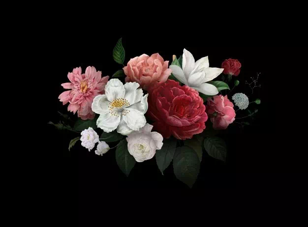 Roses Bloom - Vector Design US, Inc.