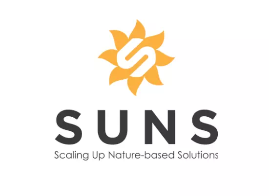 Suns - Vector Design US, Inc.