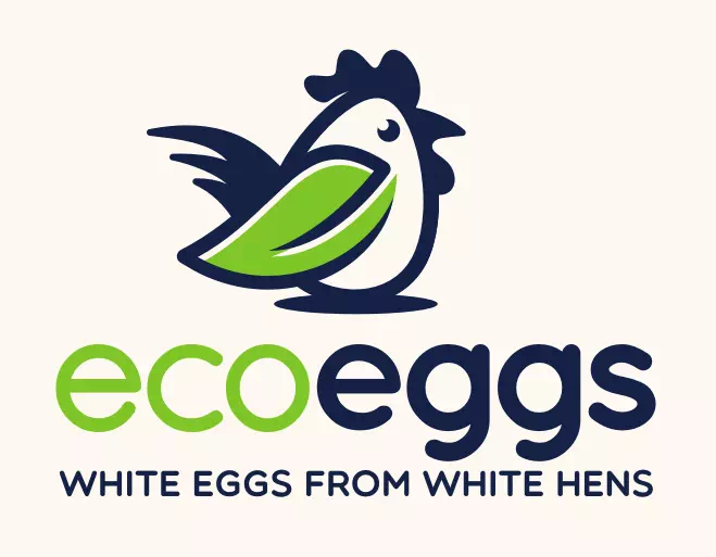 Eco Eggs - Vector Design US, Inc.