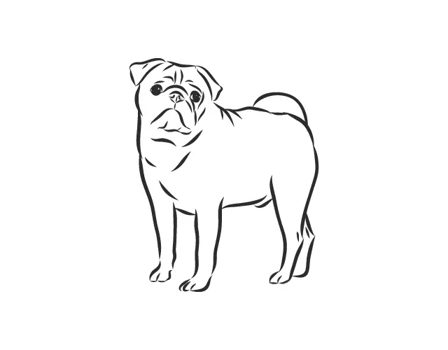 B&W Portrait Pet Line Drawing