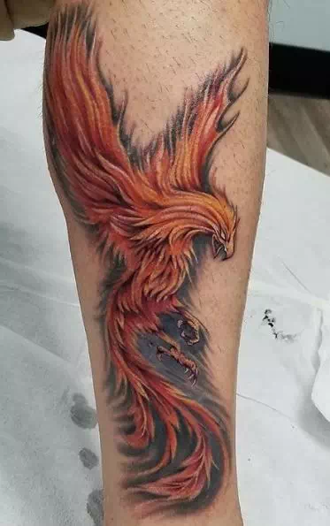 Phoenix Tattoo - Vector Design US, Inc.