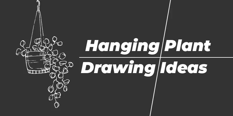 20 Hanging Plant Drawing Ideas Every Artist’s Should Know