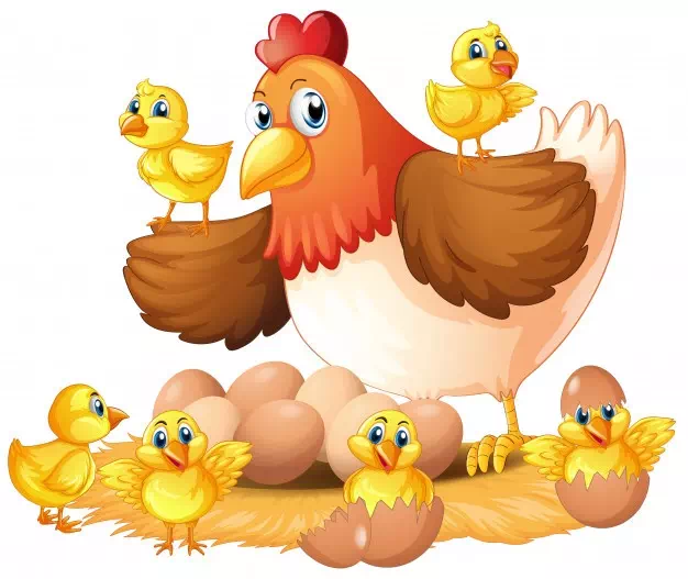 A Happy Chicken Family - Vector Design US, Inc.