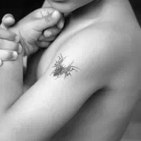 Tribal Spider Tattoo - Vector Design US, Inc.