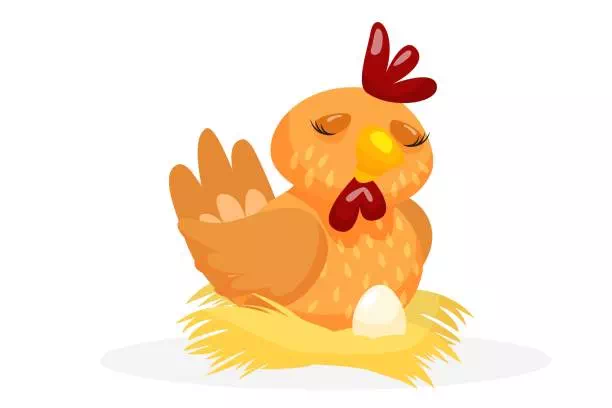 Chicken Hatching Egg - Vector Design US, Inc.