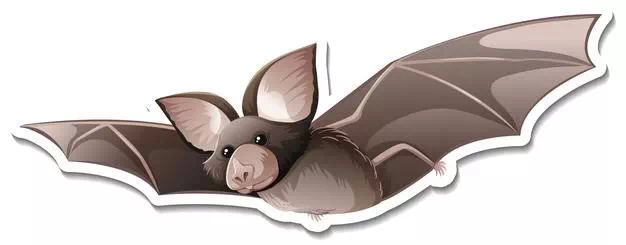 Leaf-Nosed Bat - Vector Design US, Inc.