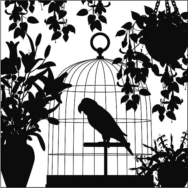 Parrot in a Cage Shillouhoutte - Vector Design US, Inc.