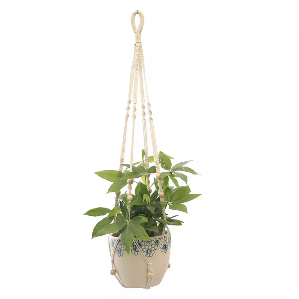 Realistic Style Macrame Plant Hanging - Vector Design US, Inc.