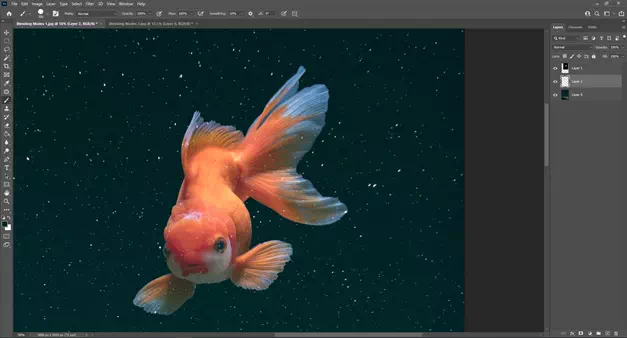 If you notice, you will get the lighter stars that the fish are seen through the fish image. We have to remove the stars to get a perfect image composite