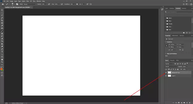 Open Photoshop, create a workspace, and duplicate the background layer
