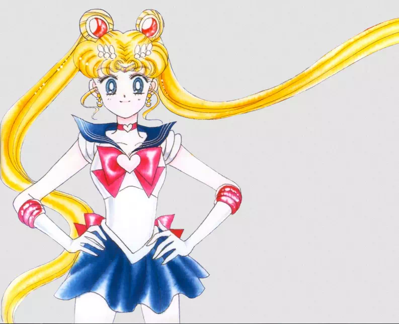 Sailor Moon - Vector Design US, Inc.
