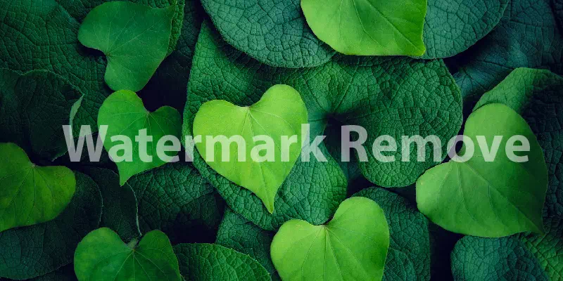 Watermark Remove service