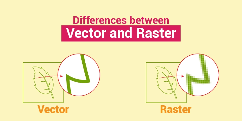 Differences between Vector and Raster
