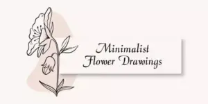 Minimalist Flower Drawings