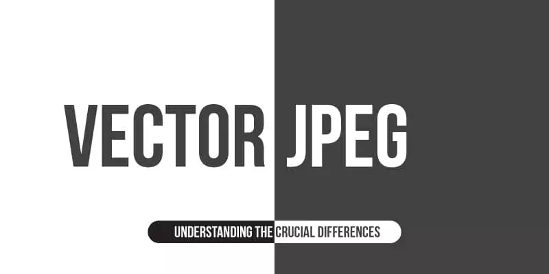 Vector vs JPEG