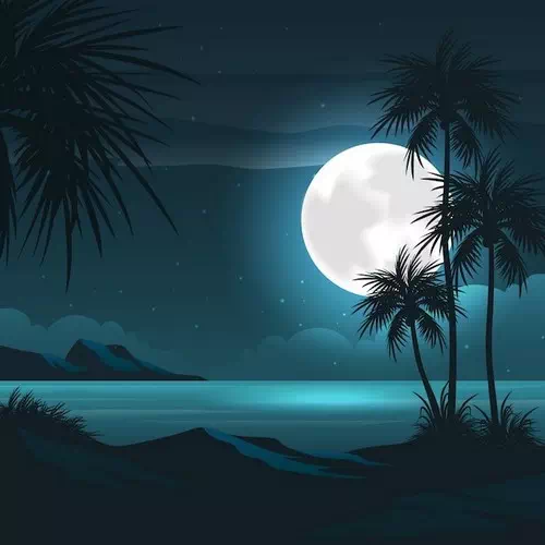 Gradient Summer Night Illustration with Beach View