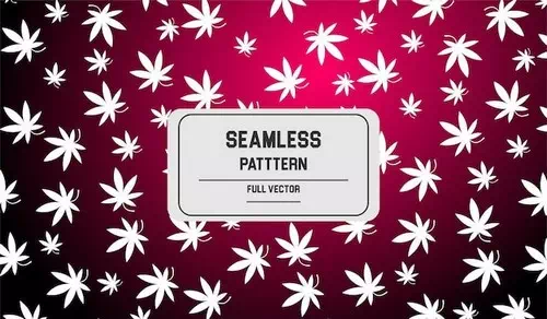 Vector cannabis seamless pattern design background