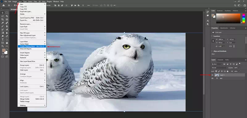 Create the Clipping Mask 