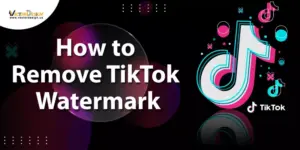 How to Remove TikTok Watermark