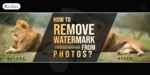 How to Remove Watermark from Photos
