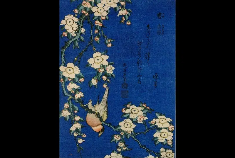 Bullfinch and Weeping Cherry Blossoms by Hokusai Katsushika