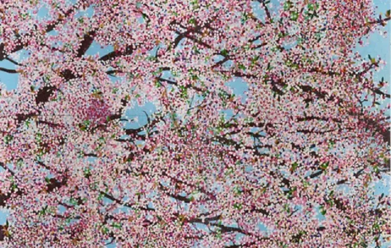 Cherry Blossoms by Damien Hirst