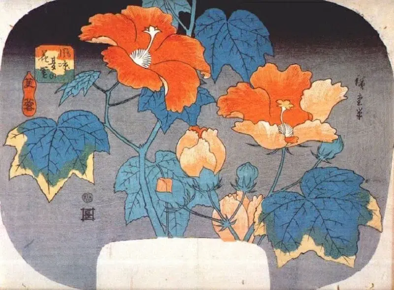 Hibiscus by Hiroshige
