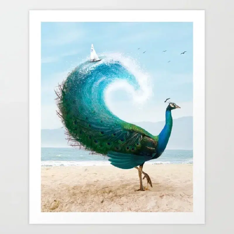 Summer Peacock